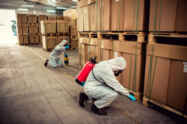 Best Best Pest Control Companies  in La Habra Heights, CA