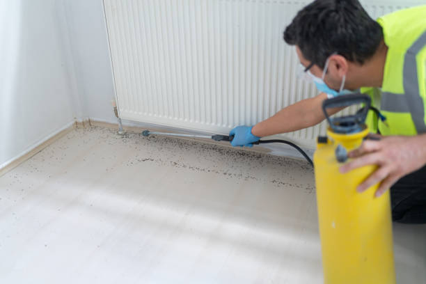 Best Cockroach Control Services  in La Habra Heights, CA