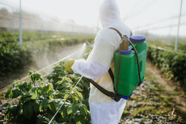 Trusted La Habra Heights, CA Pest Control Experts